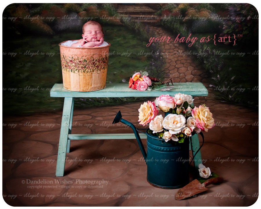 the best newborn photo studio for artistic and unique baby portraits