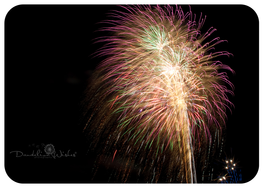 professional photographer warrenton virginia