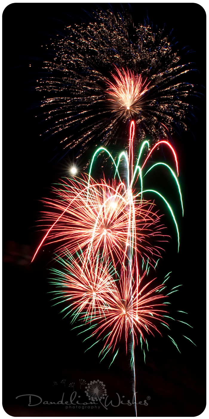 professional photographers washington dc metro area
