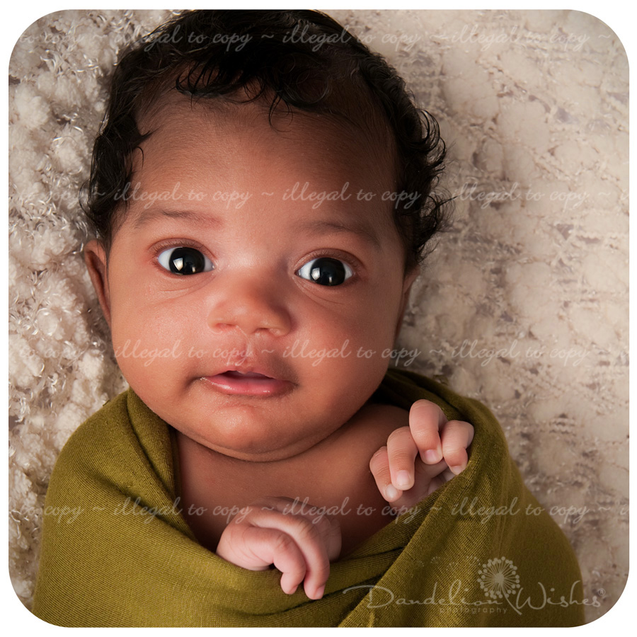 washington dc metro area newborn baby photographer