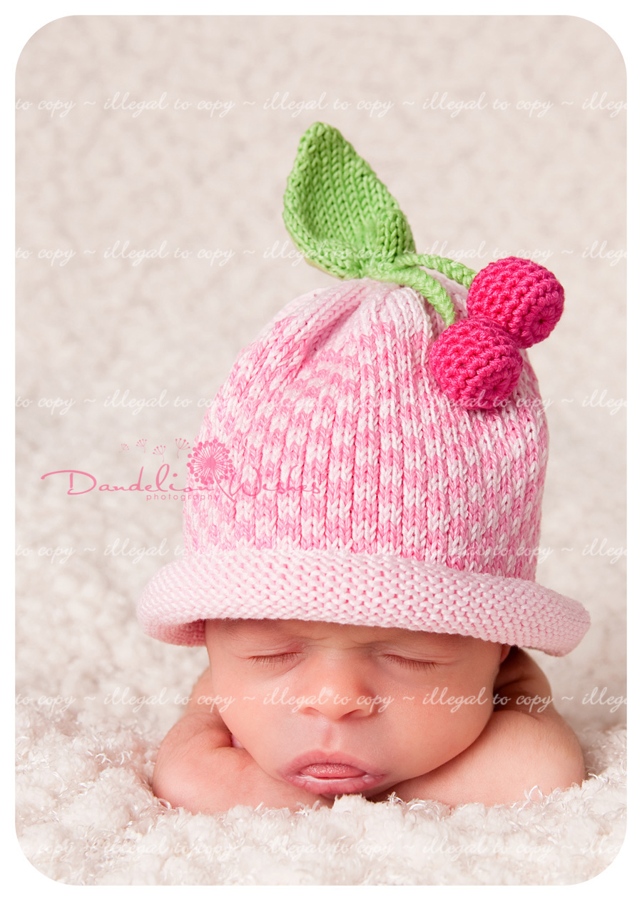 premie newborn photographer northern virginia washington dc metro area