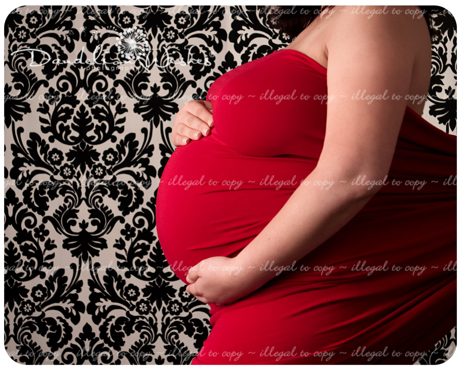 Unique, creative Pregnancy portraits near Alexandria Va Northern Virginia area