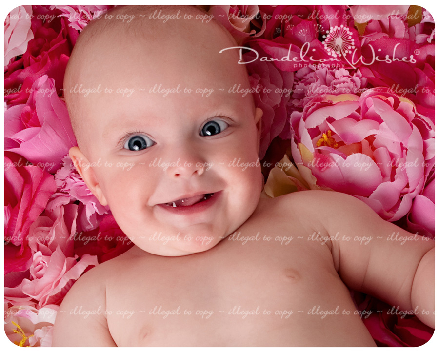 Creative infant baby photo studio near Dulles, Virginia in the Northern Va, Washington D.C. metro area.