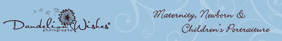 Dandelion Wishes® logo