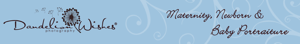 Dandelion Wishes® logo